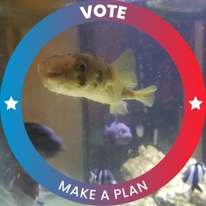 Meet your Posher, Misty